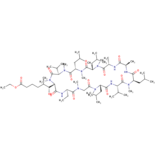 PNG