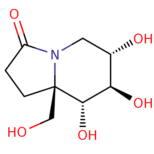 PNG