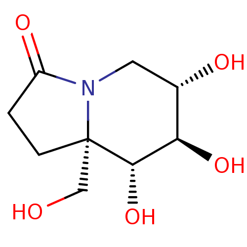 PNG