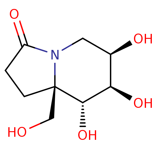 PNG