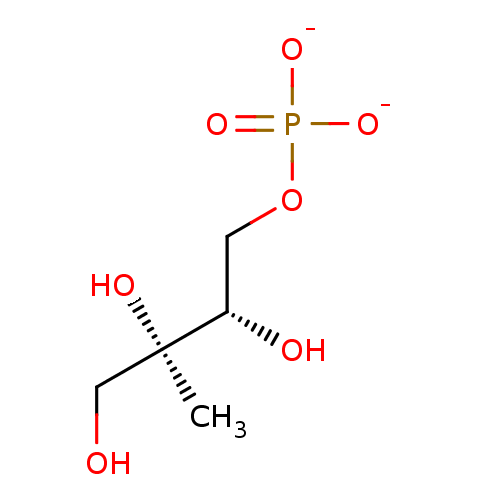PNG