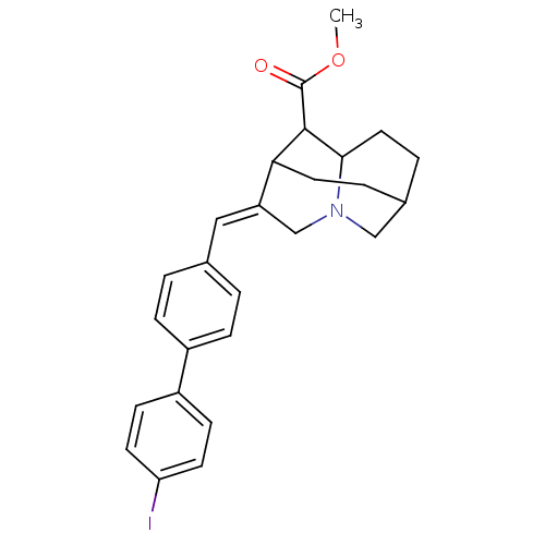 PNG