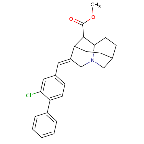 PNG