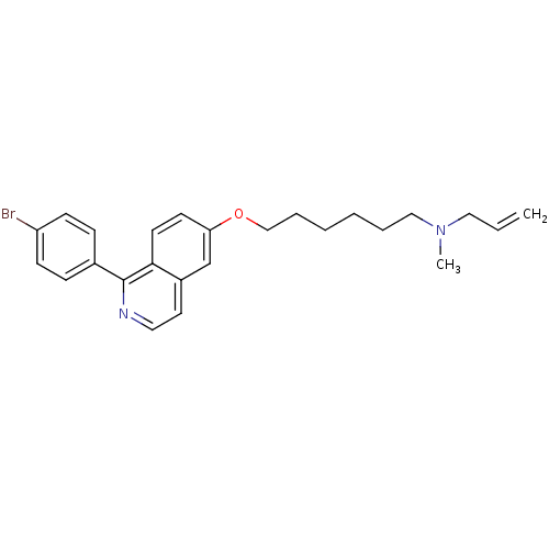 PNG