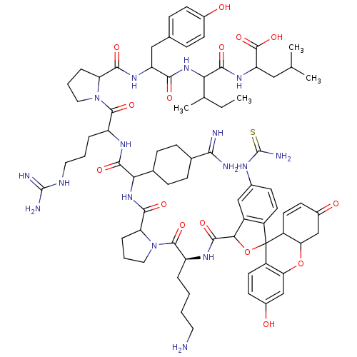PNG