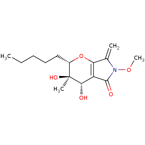PNG