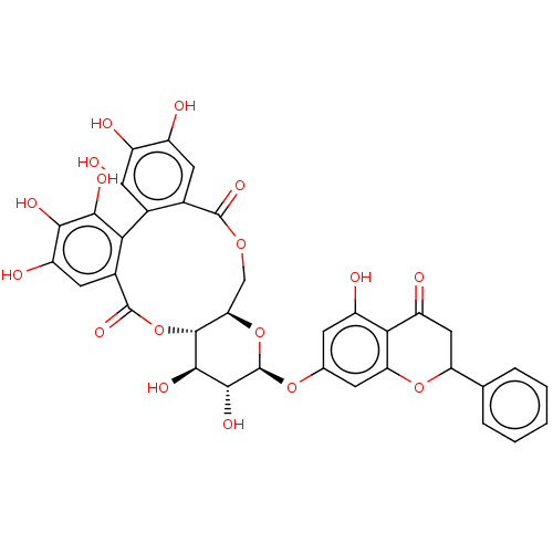 PNG