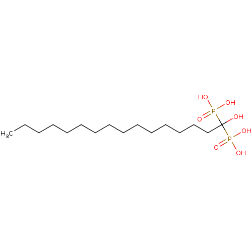 PNG