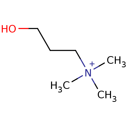 PNG