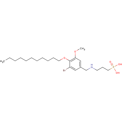PNG