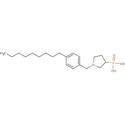 PNG