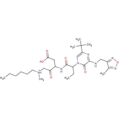 PNG