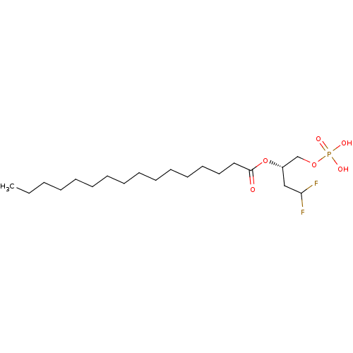 PNG