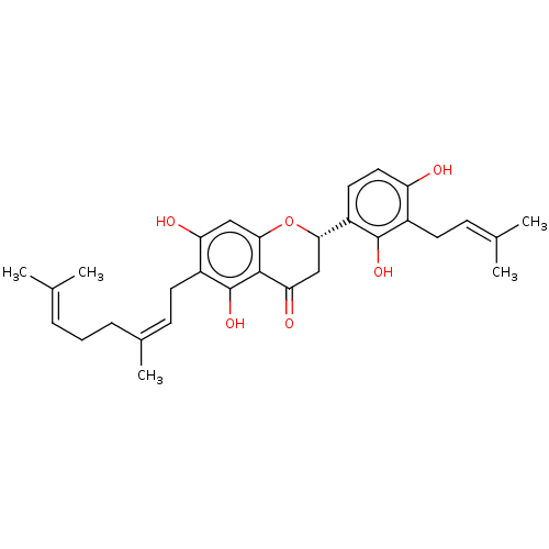 PNG
