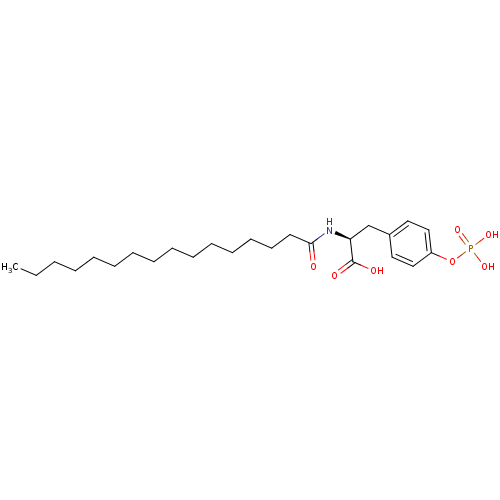 PNG