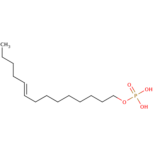PNG