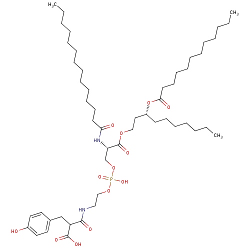 PNG