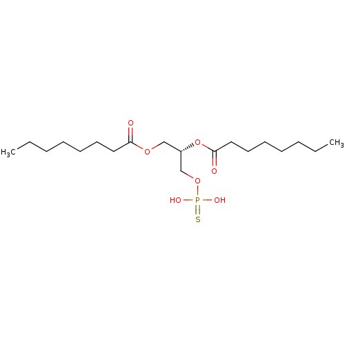 PNG