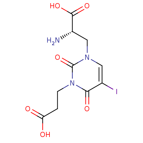 PNG