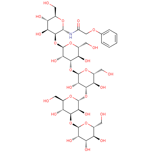 PNG