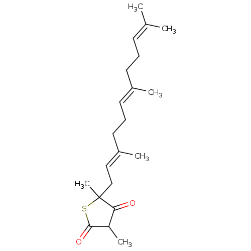 PNG