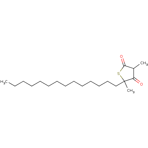 PNG
