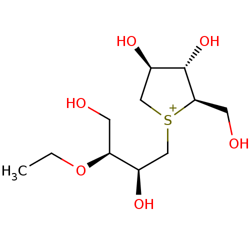 PNG