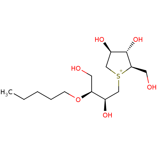 PNG