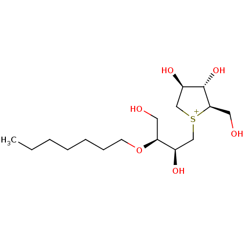 PNG