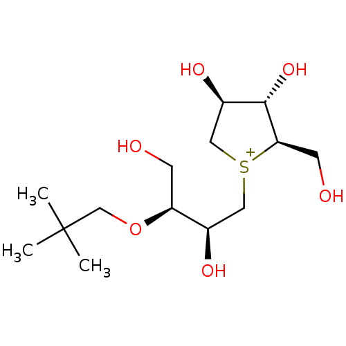 PNG