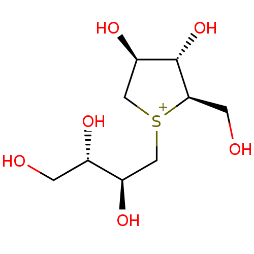 PNG