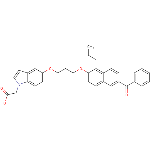 PNG