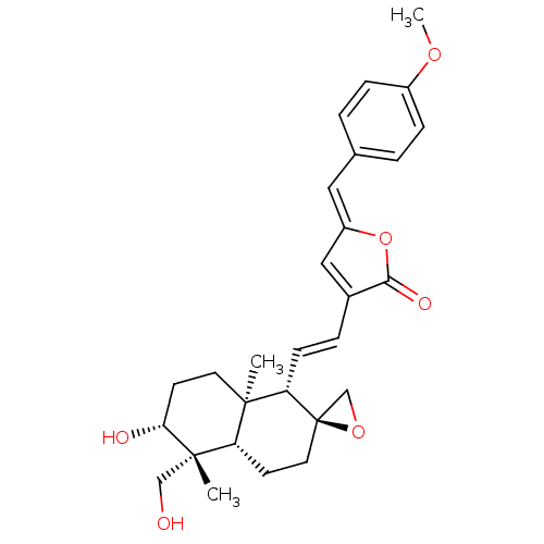 PNG