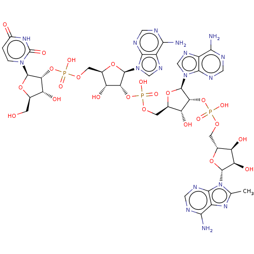 PNG