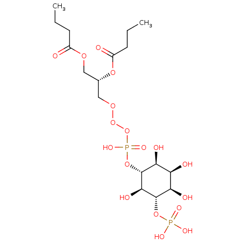 PNG