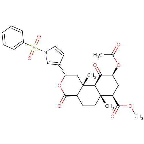 PNG