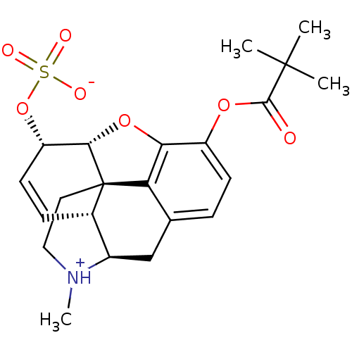 PNG