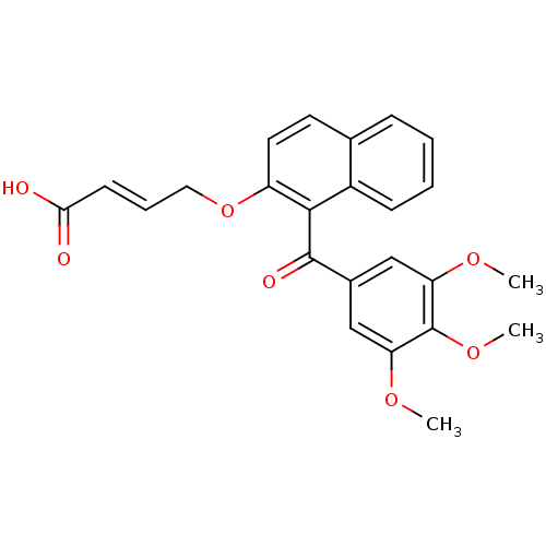 PNG