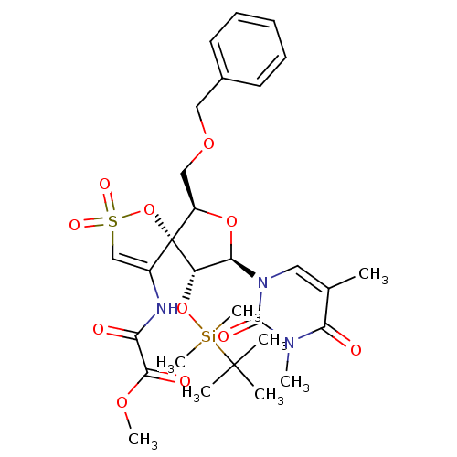 PNG