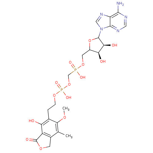 PNG