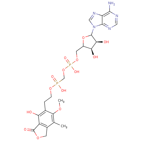 PNG
