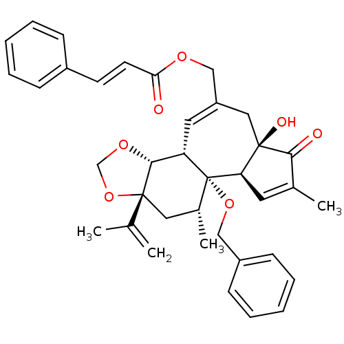 PNG