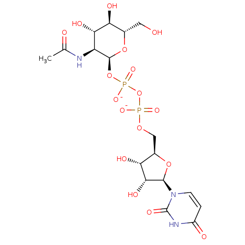 PNG