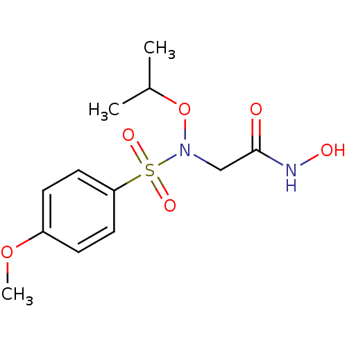 PNG