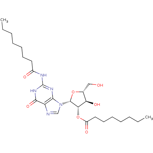 PNG