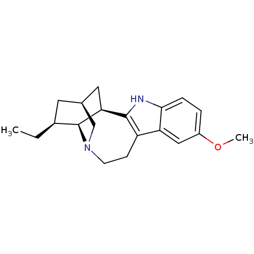 PNG