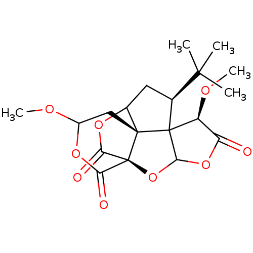 PNG