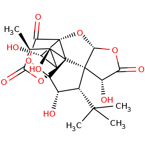 PNG