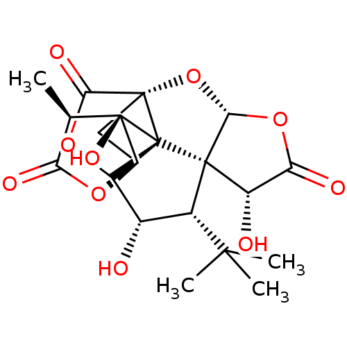 PNG