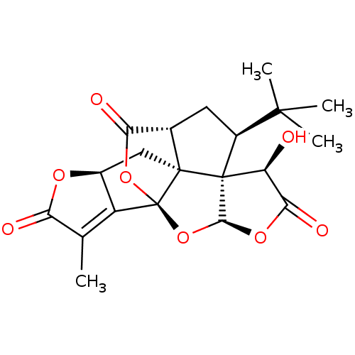 PNG
